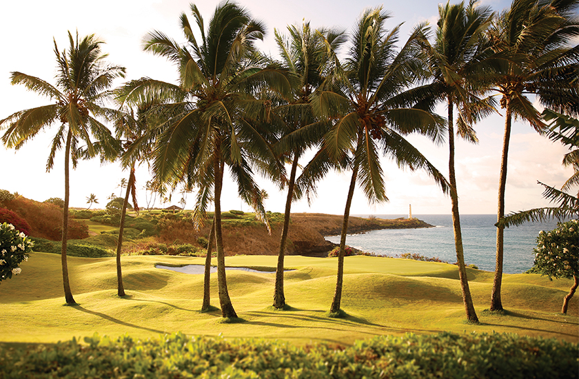 Where to go now:<br>Timbers Kaua’i