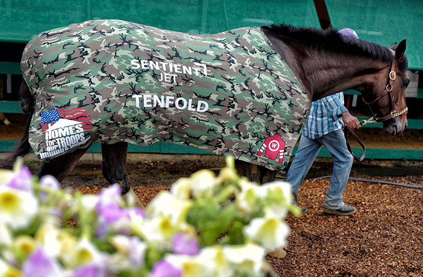 Belmont Stakes Contender Tenfold Running to Make Veterans’ Dreams Come True