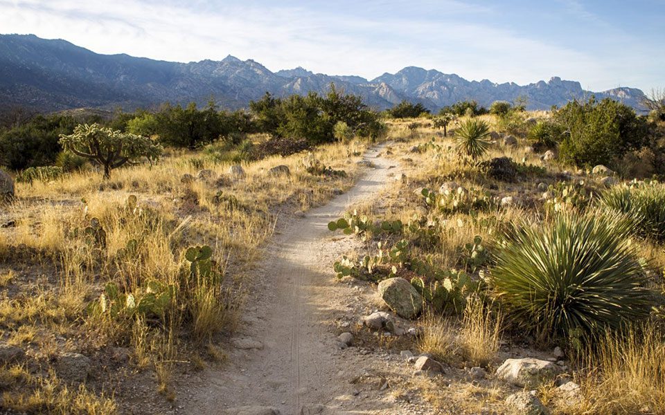 2019-12-NYE-blog-tucson2